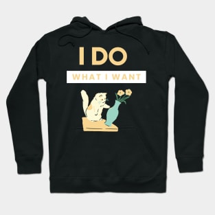 I do what i want Funny cat design Hoodie